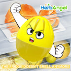 HerbAngel Fridge Deodorizer Balls, Odor Eliminator (4 Pack)