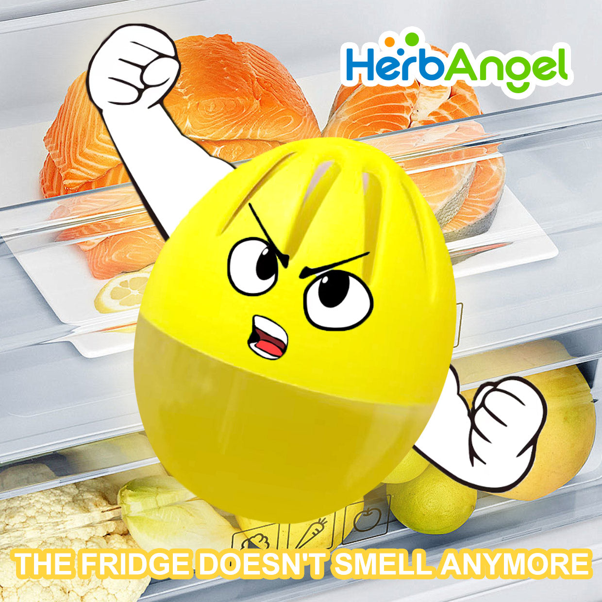 HerbAngel Fridge Deodorizer Balls, Odor Eliminator (4 Pack)