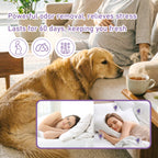 HerbAngel 60-Day Gel Air Freshener (Lavender)