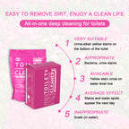 Flower Scent No-Scrub Toilet Foam Cleaner
